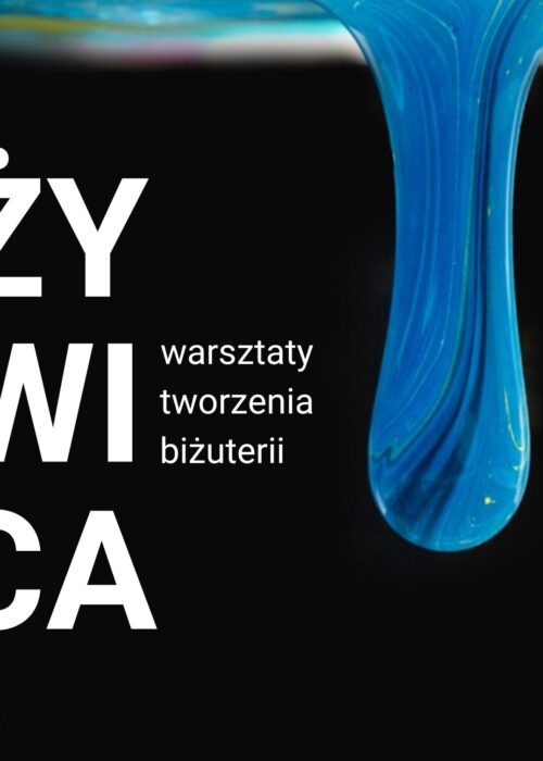 ŻY- WI- CA FINAŁ (Plakat (A3, w pionie)) (2)
